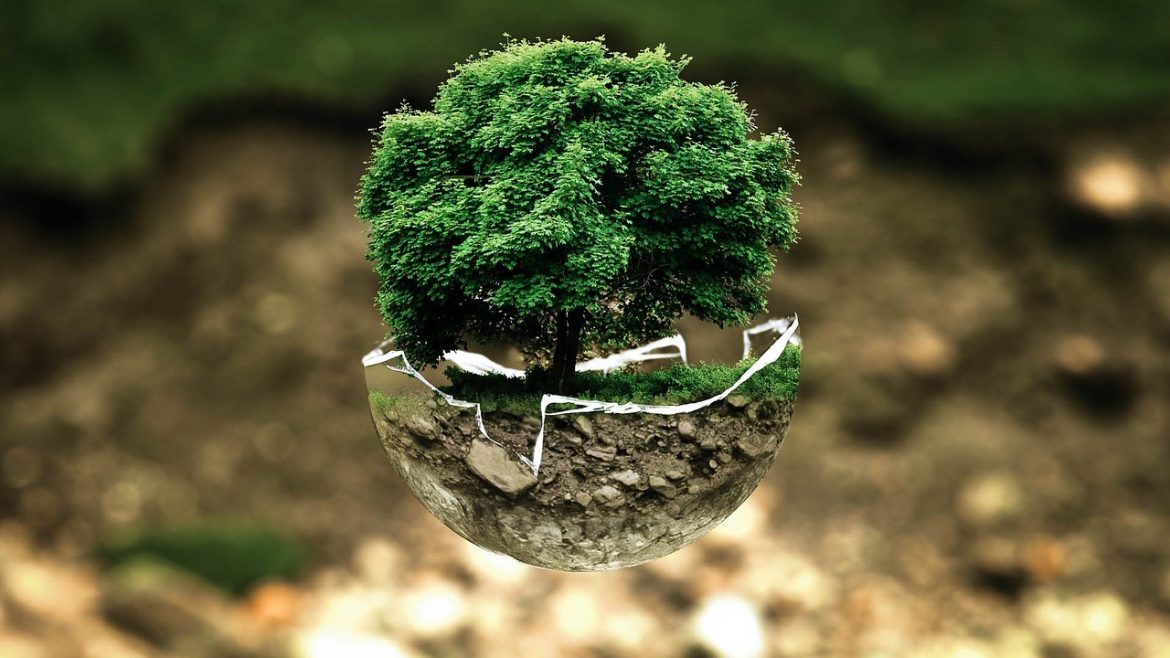 Protection of Environment